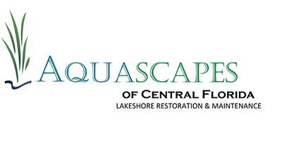 Lakefront Restoration - Aquascapes of Central Florida